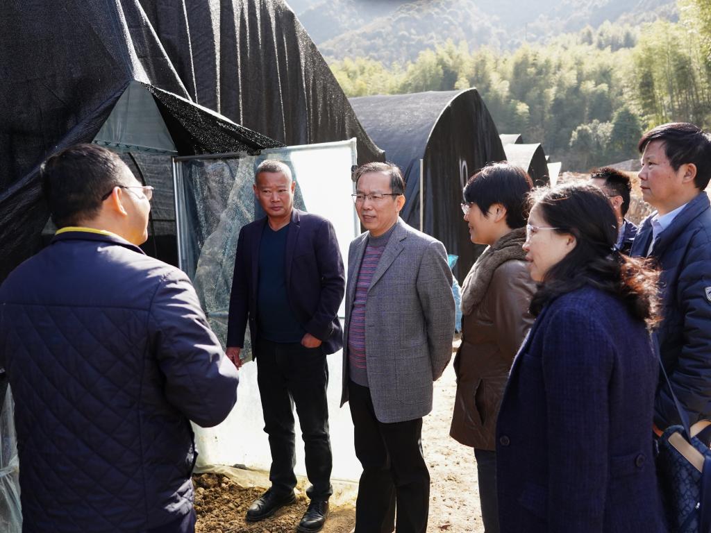 柳和生赴定点帮扶村调研乡村振兴工作